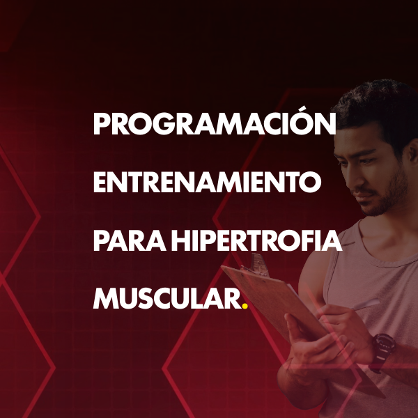 Programación del entrenamiento para la hipertrofia muscular
